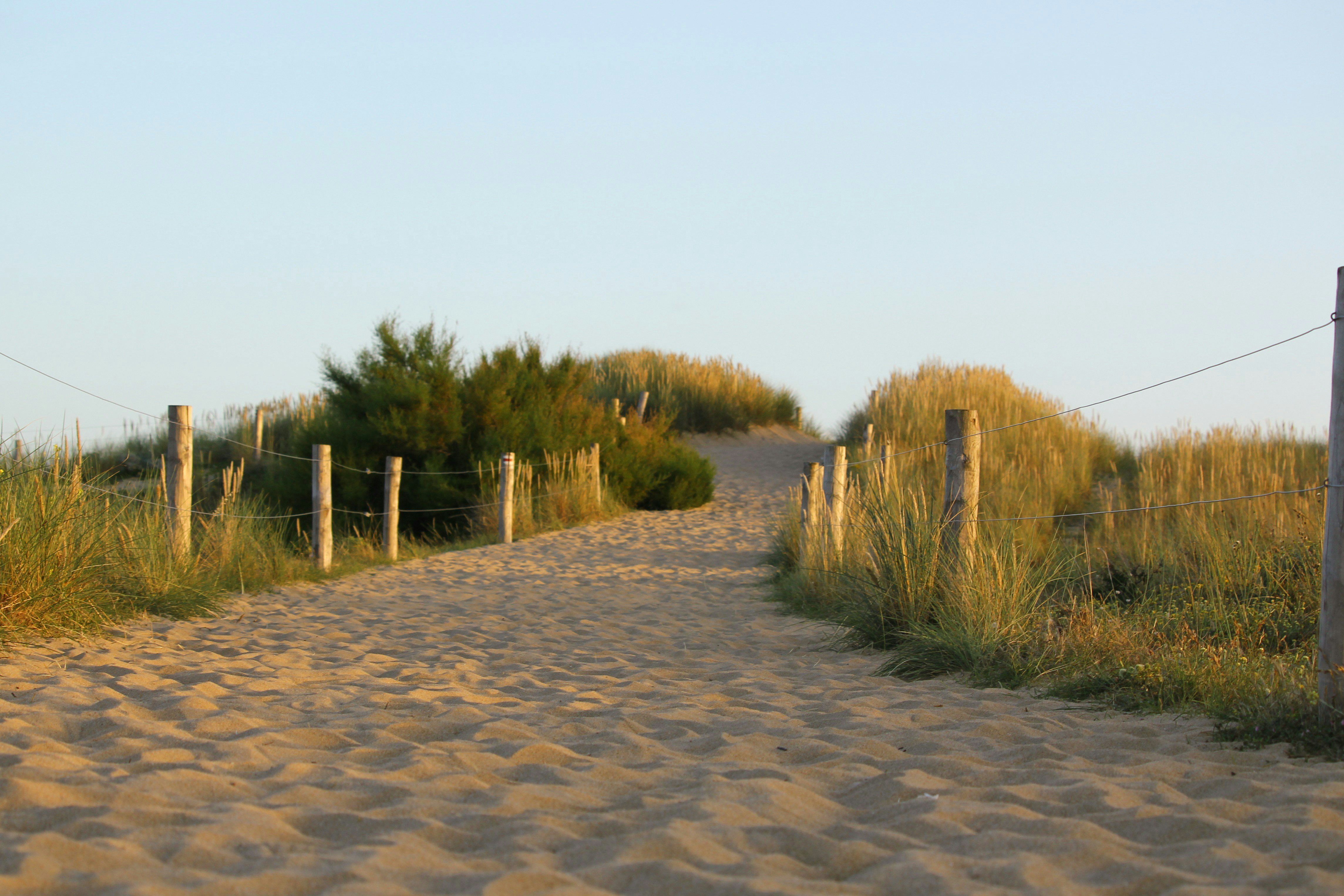 Sand